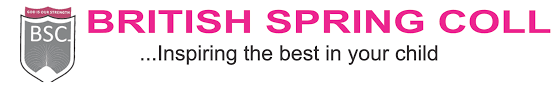 BSC logo