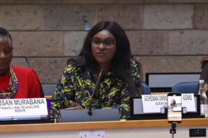 Uchenna Onwuamaegbu-Ugwu as a speaker in a conference