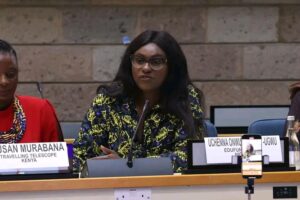 Uchenna Onwuamaegbu-Ugwu on STEM interest